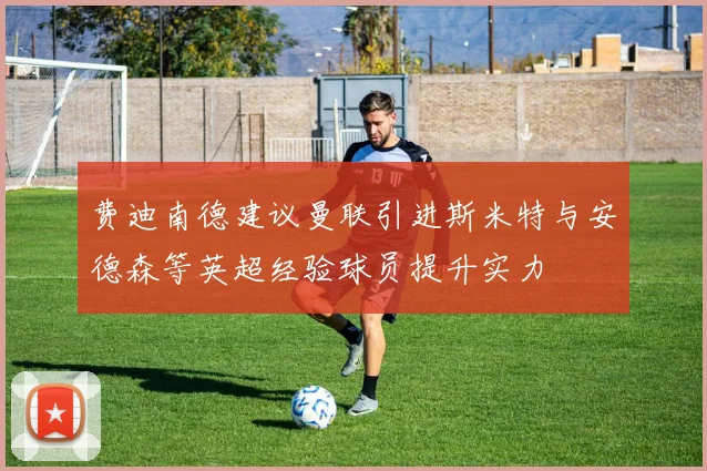 费迪南德建议曼联引进斯米特与安德森等英超经验球员提升实力